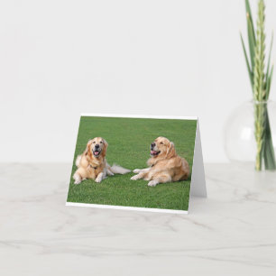 Gouden Retriever Puppy Hond Deken Kaart