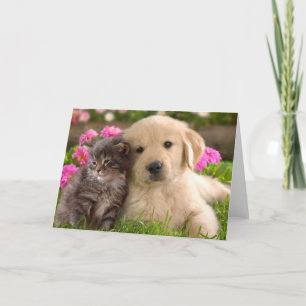 Gouden Retriever Puppy Hond & Kittens Liefde Kaart