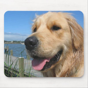 Gouden Retriever Puppy Hondenliefde Muismat