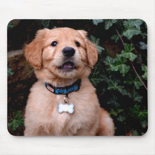 Gouden Retriever Puppy Muismat (Voorkant)