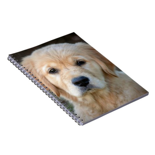 Gouden Retriever Puppy Notitieboek (Rechterzijde)