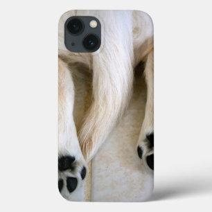Gouden Retriever Puppy Tenen Case-Mate iPhone Case