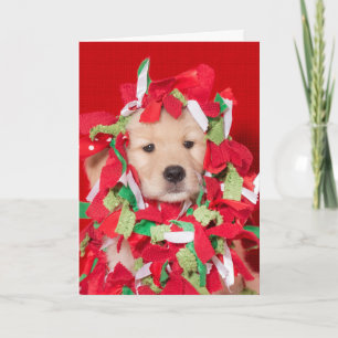 Gouden Retriever Puppy Verward in Slingerkaart Kaart