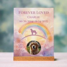 Gouden Retriever Regenboogbrug Herdenkingsteken