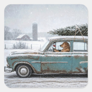 Gouden Retriever rijdt Retro Auto met Pijnboom Vierkante Sticker