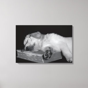 gouden retriever slapend op oud boek canvas afdruk
