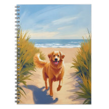 Gouden Retriever Strandpad | Ocean Dog Huisdier