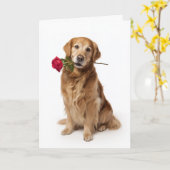 Gouden Retriever Valentijnskaart Kaart (Gele Bloem)