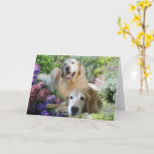 Gouden Retriever Vrienden Kaart (Gele Bloem)