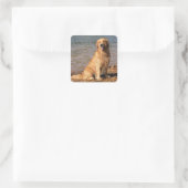 Gouden Retriever Zitplein Vierkante Sticker (Tas)