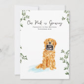 Gouden Retriever Zwangerschapsaankondiging Aankondiging (Voorkant)