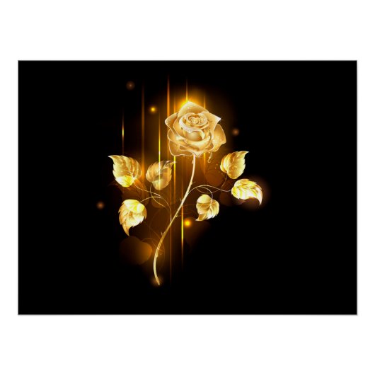 Gouden roos ( goud roos ) perfect poster (Voorkant)