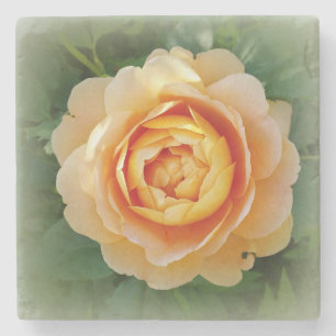 Gouden roos stenen onderzetter