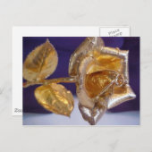 Gouden roos - voor altijd liefde briefkaart (Voorkant / Achterkant)