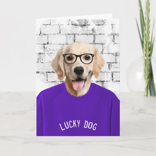 gouden rugleuning in een paarse T-shirt Kaart (Voorkant)