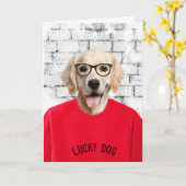 gouden rugleuning in een rode T-shirt Kaart (Gele Bloem)