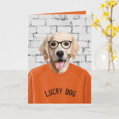 gouden rugleuning in t-shirt kaart (Gele Bloem)