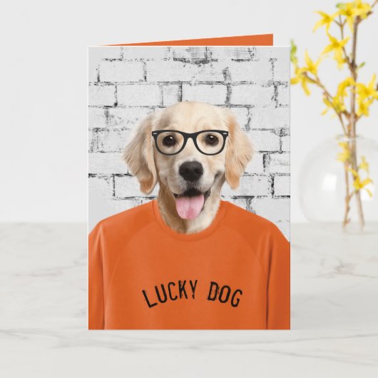 gouden rugleuning in t-shirt kaart (Gele Bloem)