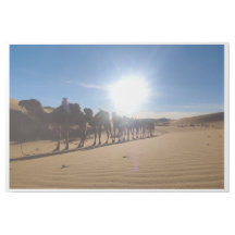 Gouden Sahara Zandduinen Minimalistische Woestijn 