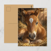 Gouden Sluimering zachte Veulen Briefkaart (Voorkant / Achterkant)