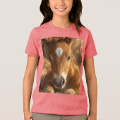 Gouden Sluimering zachte Veulen Tri-Blend Shirt (Voorkant)
