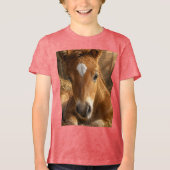 Gouden Sluimering zachte Veulen Tri-Blend Shirt (Voorkant)