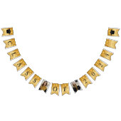 Gouden Sparkle Klasse van 2024 Fotoafstudeerfeest Vlaggetjes (Alle)