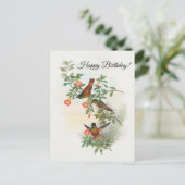 Gouden Ster-frontkolibrie Ansichtkaart Briefkaart (Staand voorkant)