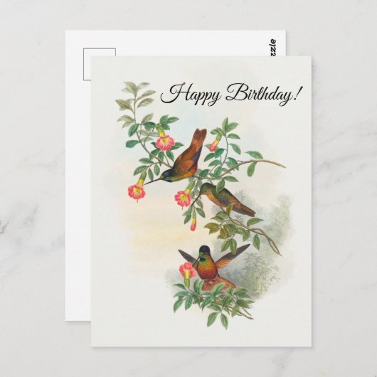 Gouden Ster-frontlet Ansichtkaart Briefkaart (Voorkant / Achterkant)