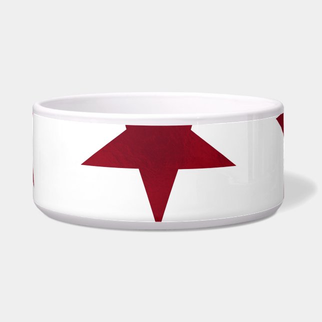 Gouden sterren patroon 7 voerbakje (Voorkant)