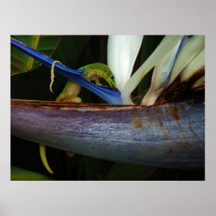 Gouden stofdag Gecko bij de ventilator Poster