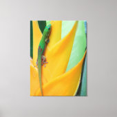 Gouden Stofdag Gecko op een Heliconia Canvas Afdruk (Voorkant)