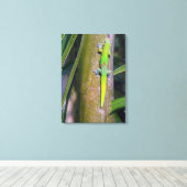 Gouden Stofgekko "goudstof gekko", gekko, tropisch Canvas Afdruk (Insitu (Houten vloer))