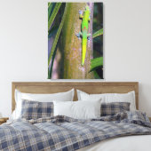 Gouden Stofgekko "goudstof gekko", gekko, tropisch Canvas Afdruk (Insitu (Slaapkamer))