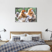 Gouden Stompneusaap Familie Canvas Afdruk (Insitu (Slaapkamer))