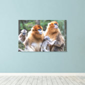 Gouden Stompneusaap Familie Canvas Afdruk (Insitu (Houten vloer))