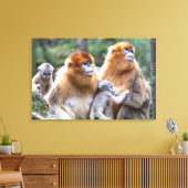 Gouden Stompneusaap Familie Canvas Afdruk (Insitu (Woonkamer))