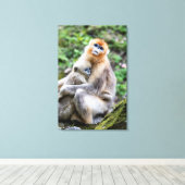Gouden Stompneusaap met Baby Canvas Afdruk (Insitu (Houten vloer))