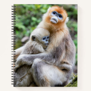 Gouden Stompneusaap met Baby Notitieboek