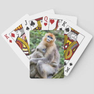 Gouden Stompneusaap met Baby Pokerkaarten