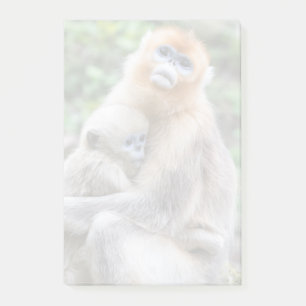 Gouden Stompneusaap met Baby Post-it® Notes
