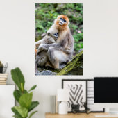 Gouden Stompneusaap met Baby Poster (Thuiskantoor)