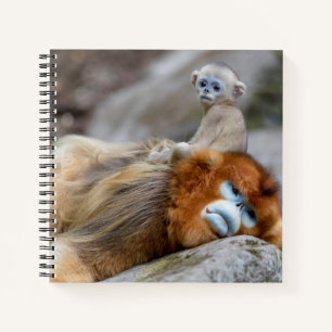 Gouden Stompneusaap Vader met Baby Notitieboek