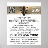 Gouden Streep - Zwarte Kakkerlak - Ongediertebestr Poster (Voorkant)