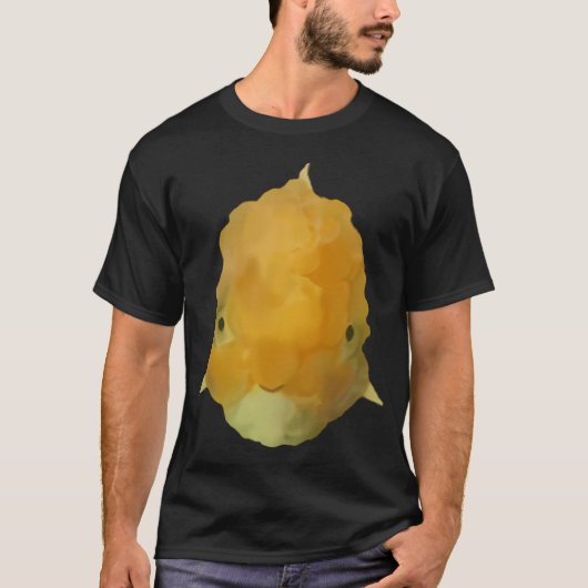 Gouden T-shirt (Voorkant)
