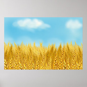 Gouden tarweveld blauwe lucht Olie Schilderij Zome Poster