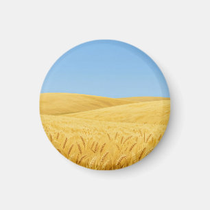 Gouden Tarweveld Onder Blauwe Lucht Magneet