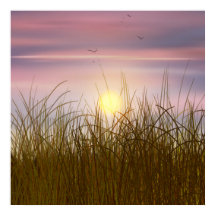 Gouden tarweveld zonsondergang lucht olieverfschil