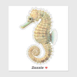 Gouden Teal Zeepaardje Sticker