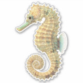 Gouden Teal Zeepaardje Sticker (Voorkant)
